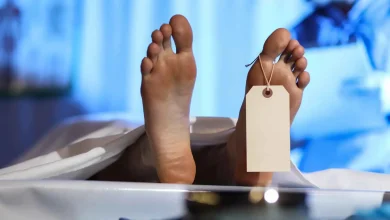 لموت مستدام .. ابتكار تابوت عضوي يتحلل بالكامل خلال أسابيع