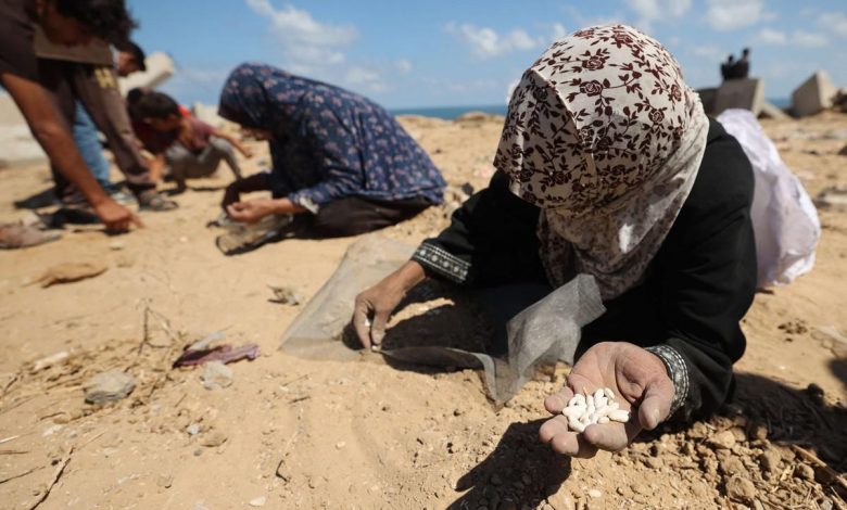إنذار أوروبي من تفاقم المأساة الإنسانية في غزة