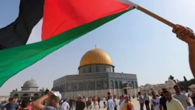 الإخوان وفلسطين.. صناعة الوهم لتمويل التنظيم
