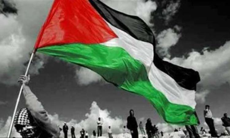 القضية الفلسطينية في أجندة الإخوان.. عقيدة نضال أم أداة ابتزاز سياسي؟