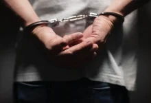 حين يتحول الحيوان إلى سلاح.. تفاصيل هجوم أسد على عامل مصري بليبيا