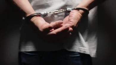 حين يتحول الحيوان إلى سلاح.. تفاصيل هجوم أسد على عامل مصري بليبيا