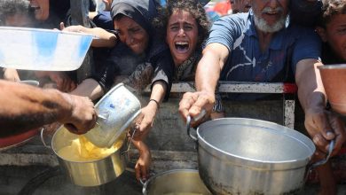 غزة المنكوبة: الفوضى تحاصر المساعدات والجوع يفتك بالسكان