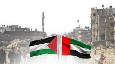 من الاعتراف إلى الفعل.. مبادرة إماراتية لدعم فلسطين وتحقيق سلام مستدام
