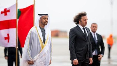 ختام زيارة جورجيا: محمد بن زايد يلتقي الرئيس الفخري للحزب الحاكم