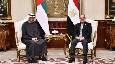 قمة محمد بن زايد والسيسي السادسة.. رسائل إستراتيجية في 2025