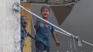من واشنطن إلى الشرق الأوسط.. ترامب يبحث عن حلول لقضية غزة