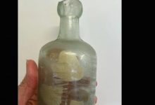 العثور على رسالة في زجاجة تعود للحرب العالمية الأولى.. رحلة زمنية عبر قرن من النسيان