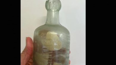 العثور على رسالة في زجاجة تعود للحرب العالمية الأولى.. رحلة زمنية عبر قرن من النسيان