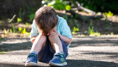 تحقيقات بعد فاجعة مأساوية.. كلبان يهاجمان طفلًا داخل منزل لرعاية الأطفال