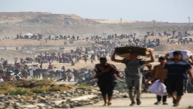 غزة بلا دعم مؤقت.. الصليب الأحمر يعلّق عملياته بالمدينة