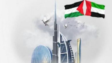 ملحمة إماراتية دبلوماسية بعد عامين من حرب غزة: مساعي لإنهاء الصراع