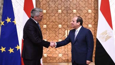 نائب نمساوي يقدّم استجواباً برلمانياً حول جاسوس الإخوان من أصل مصري