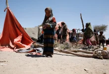 اتهامات صادمة: برلماني يمني يكشف تورط الإخوان في انتهاكات ممنهجة بالمقاطرة