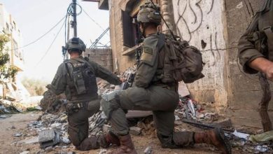 بعد صدمات القتال.. جنود إسرائيليون يتلقون علاجا نفسيا بالأفاعي والحيوانات