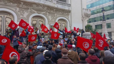 شبكة تمويل مظلمة.. تورط قيادات إخوانية بارزة في ملف أنستالينغو