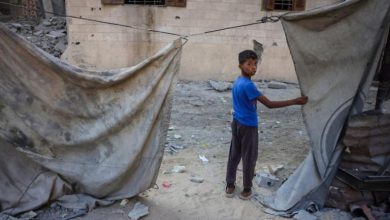 قوة دولية في غزة.. عمّان وبرلين تؤكدان ضرورة الغطاء الأممي