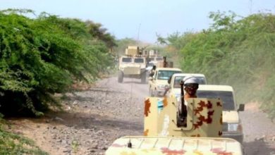 هجوم مباغت للقاعدة في شبوة.. إصابة ضابط ورفع جاهزية الأمن