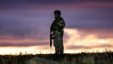 فرنسيان ويونانية ضمن الضحايا.. التحقيقات تكشف لغز الطائرة المنكوبة