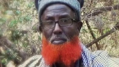 من لندن إلى جبال الصومال.. رحلة أخطر رجل أعاد تشكيل داعش في القرن الإفريقي