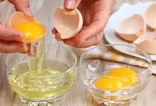 البيض تحت المجهر.. هل الصفار أم البياض أكثر فائدة؟