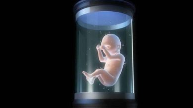 تقدّم طبي أم مأزق أخلاقي؟ جدل الرحم الاصطناعي