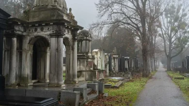 اعتراف مراهقة بقتل امرأة داخل مقبرة في النمسا