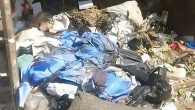 العثور على أجنة بشرية مهملة في مصر.. تحريات عاجلة من السلطات