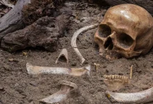 بعد سنوات من الغموض.. تقنيات حديثة تكشف هوية رفات مفقود