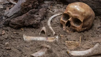 بعد سنوات من الغموض.. تقنيات حديثة تكشف هوية رفات مفقود