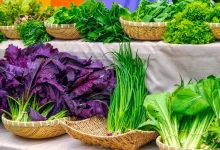 خضراوات ورقية تساعد في التحكم بضغط الدم بطرق طبيعية