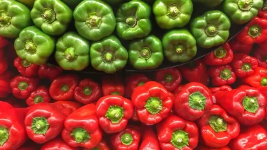 الفلفل الأحمر مقابل الأخضر: أيهما يمد الجسم بالمزيد من الفيتامينات؟
