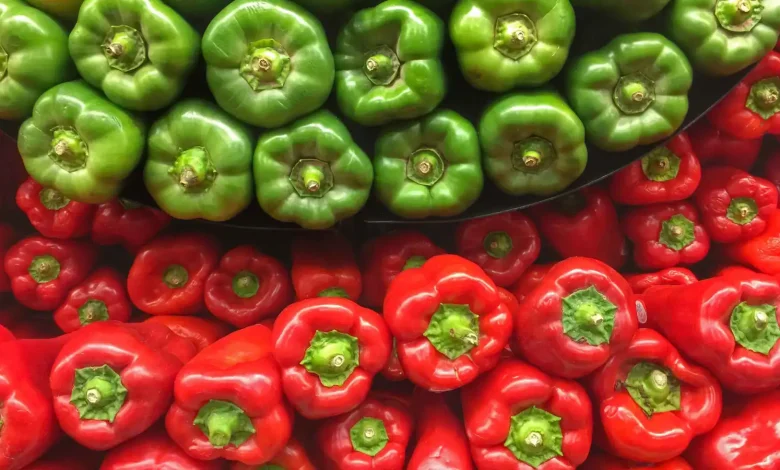 الفلفل الأحمر مقابل الأخضر: أيهما يمد الجسم بالمزيد من الفيتامينات؟
