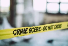 لغز دام 40 عاماً.. العلماء يكشفون هوية جمجمة مجهولة