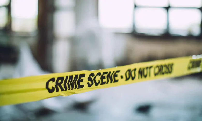 لغز دام 40 عاماً.. العلماء يكشفون هوية جمجمة مجهولة