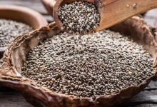 للاستفادة القصوى.. 5 أطعمة لا تخلطها مع بذور الشيا