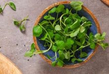 دراسات جديدة تضع الجرجير في صدارة الخضروات الصحية