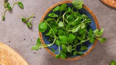 دراسات جديدة تضع الجرجير في صدارة الخضروات الصحية