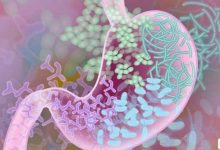 دراسات حديثة تكشف دور ميكروبيوم الأمعاء في صحة الدماغ