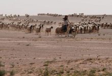 راعي أغنام يكتشف موقعاً غامضاً.. وشكوك حول نشاط عسكري غير معلن