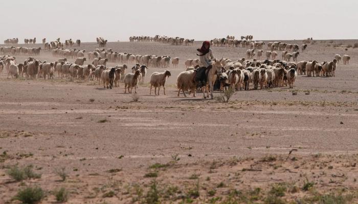 راعي أغنام يكتشف موقعاً غامضاً.. وشكوك حول نشاط عسكري غير معلن