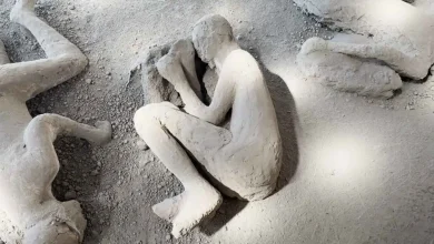 علماء آثار يكشفون تفاصيل جديدة عن ضحايا بركان فيزوف