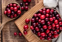 ما سر اللون الأحمر في التوت البري؟ فوائد غذائية مذهلة
