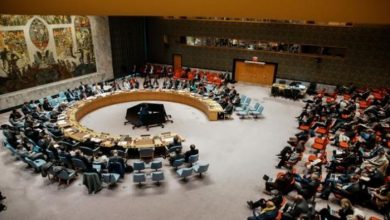 تنافس أوروبي لافت بين النمسا وألمانيا للفوز بعضوية مجلس الأمن